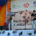 Благотворительный фестиваль «Мир бездомных животных – мир надежды и мечты»