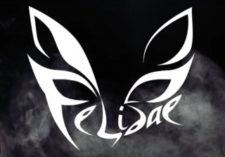 Felidae - релиз клипа "Посмотри на меня"